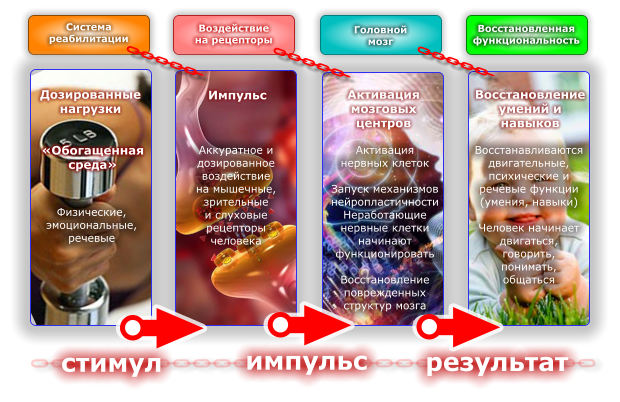 Система реабилитации доктора Мышляева(активация мозга человека)